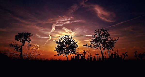 landscape, cemetery, graveyard, tree, sky, cloud - sky, plant HD wallpaper