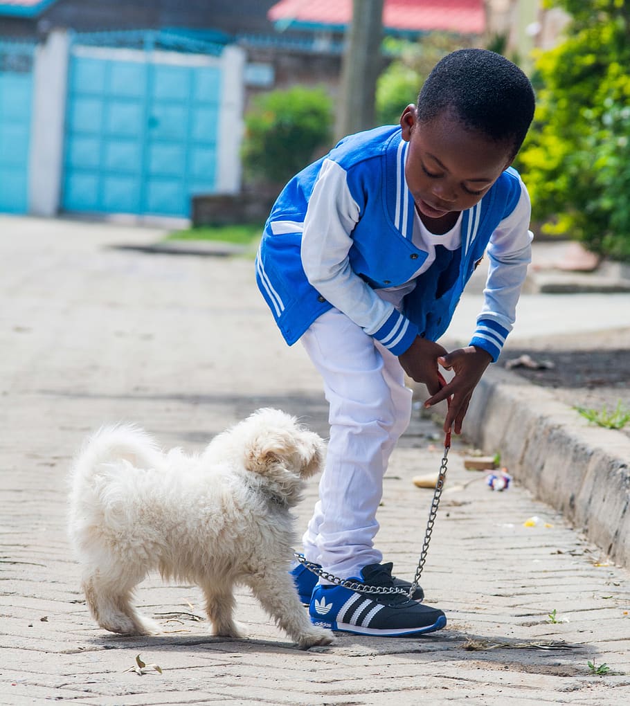 boy taking a walk with dog, pets, domestic, domestic animals HD wallpaper