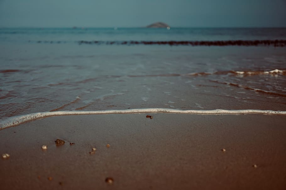 blue sea, sand, animal, invertebrate, water, sea life, foam, nature HD wallpaper