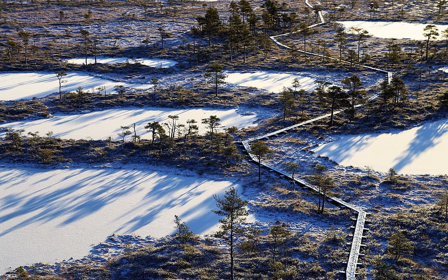 Aerial Photography of Frozen Lakes Surrounded by Trees, cold HD wallpaper