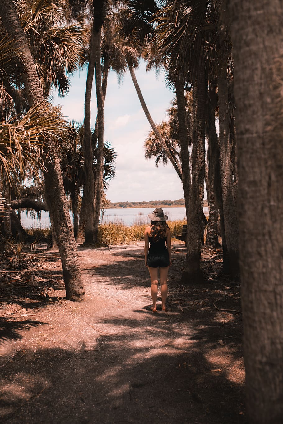 woman standing near palm trees, myakka river state park, united states, HD wallpaper