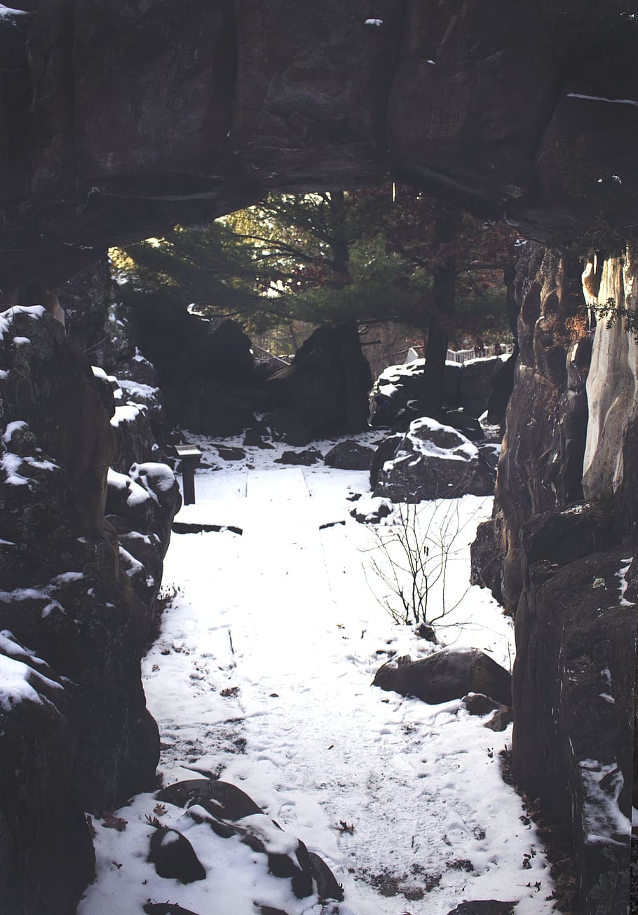 winter, cave, path, snow, woods, rocks, minnesota, tree, cold temperature HD wallpaper