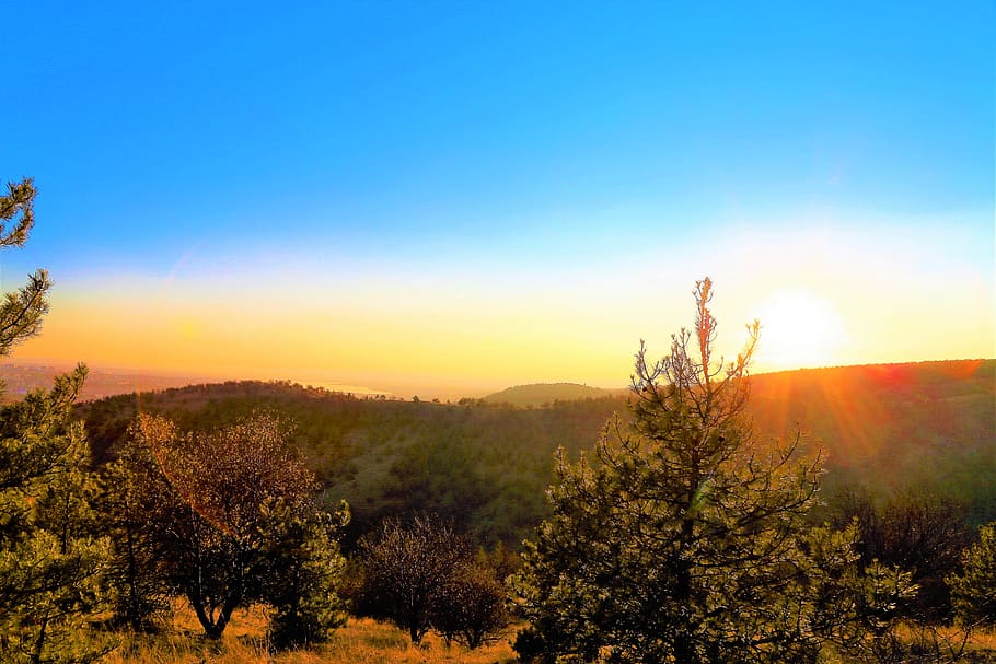 sunset, land, nature, forest, mountain, horizon, sky, landscape HD wallpaper
