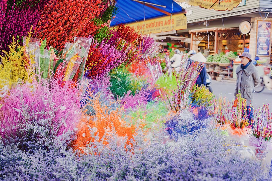 Праздник странствующих оттенков. Много годный цветы на улицу. Travelers Color. Color Travel. Color street