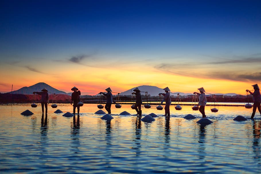 People Carrying Basket Standing on Body of Water during Golden Hour HD wallpaper