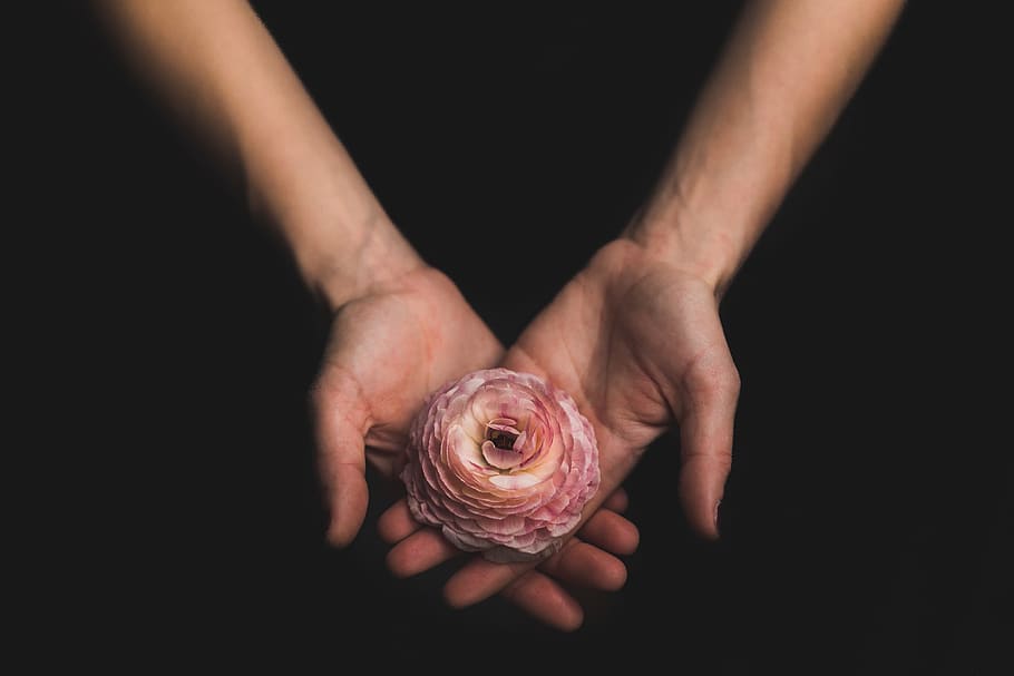 dark, hand, arm, palm, flower, human hand, human body part HD wallpaper