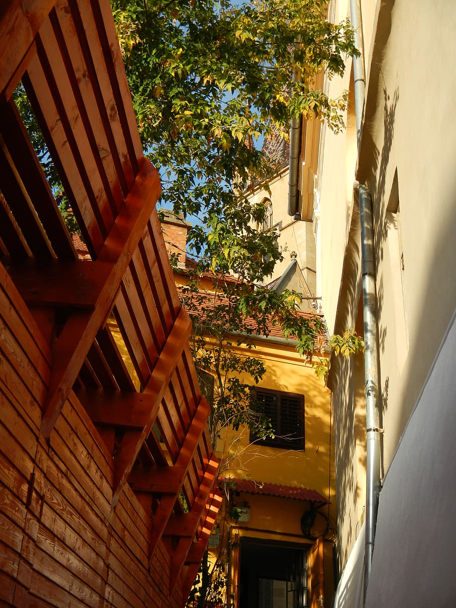 brown wooden bench beside building, banister, handrail, tree, HD wallpaper