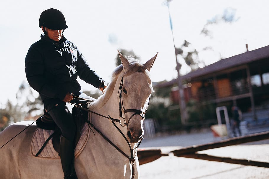 Man Riding on Horse, adult, animal, blur, bridle, cavalry, close-up, HD wallpaper