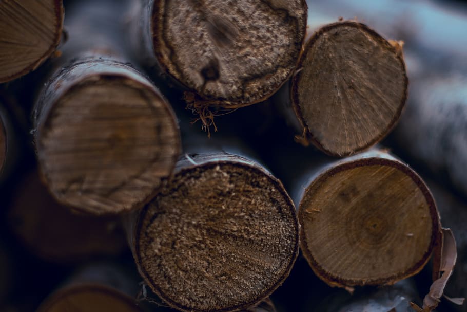 Selective Focus Photography Pile of Log, close-up, firewoods HD wallpaper