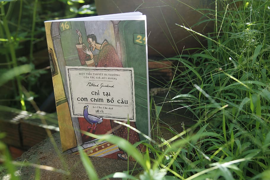 Chi Con Book on Ground, close-up, colors, daylight, environment HD wallpaper