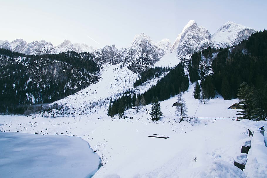 Photography of Snowy Mountains, alpine, cold, conifers, environment HD wallpaper