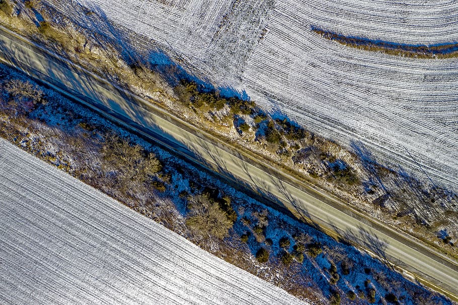 Drone Shot Of Blue Colored Trees, aerial, aerial shot, aerial view