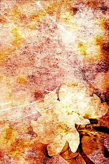 texture, grungy, flower, background, wallpaper, bud, aged, natural HD wallpaper