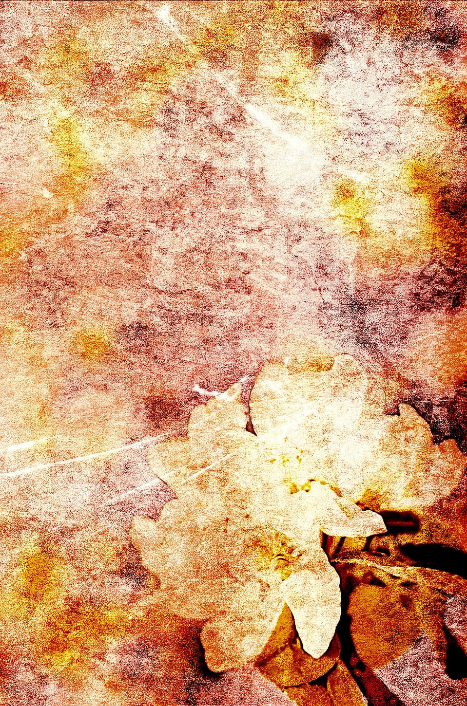 texture, grungy, flower, background, wallpaper, bud, aged, natural HD wallpaper