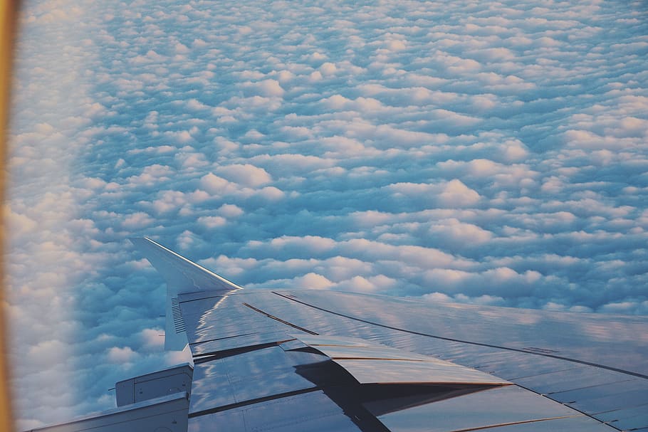 wing, clouds, plane, cloud - sky, air vehicle, airplane, mode of transportation HD wallpaper