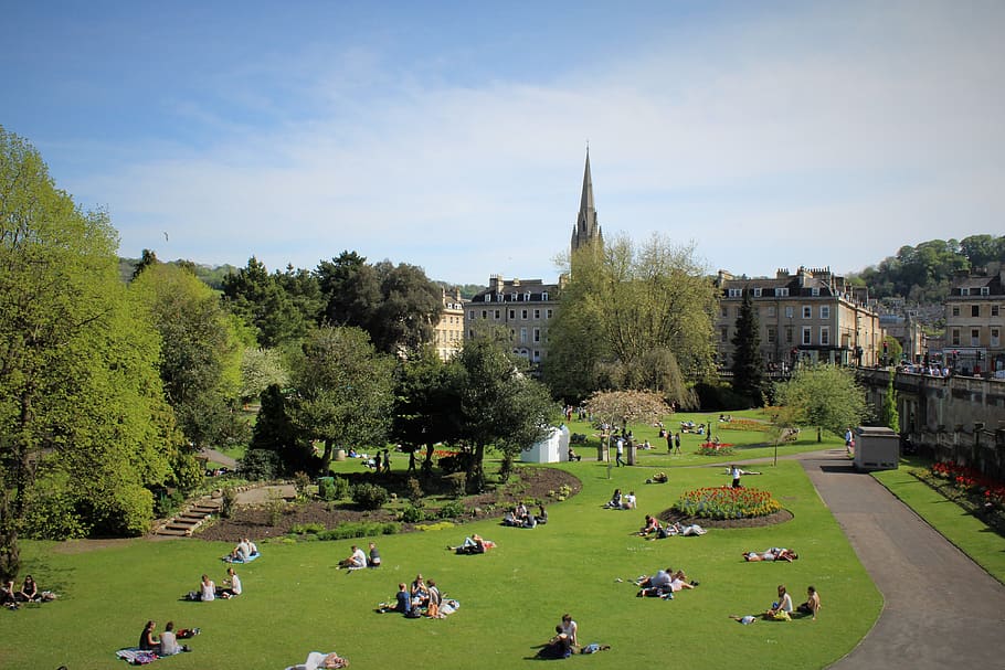 bath, park, lawn, grass, sunbathing, green, outdoor, summer HD wallpaper