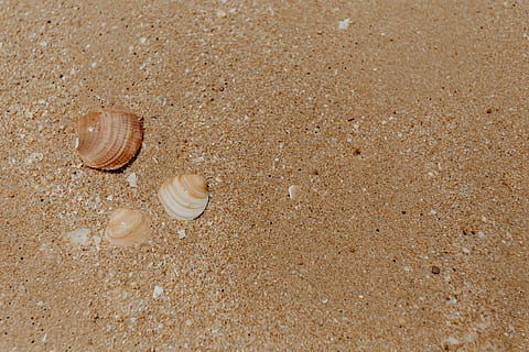 Sand beach background with sea shells & pebbles - many round small stones HD wallpaper