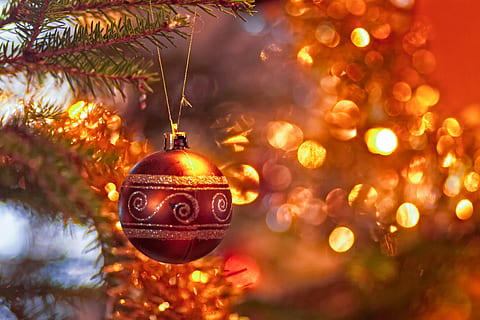 red Christmas bauble, tree, plant, ornament, finland, matkaniva HD wallpaper
