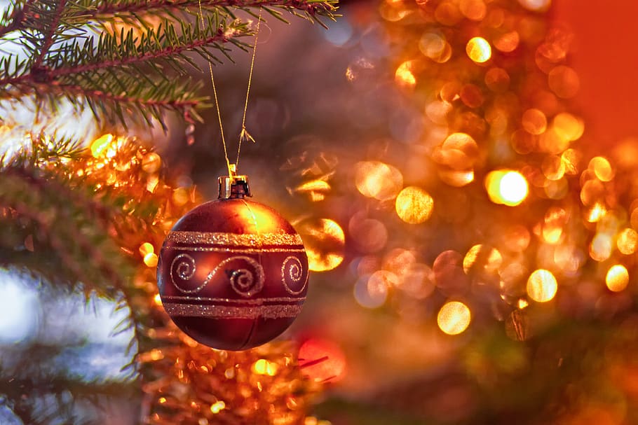 red Christmas bauble, tree, plant, ornament, finland, matkaniva HD wallpaper