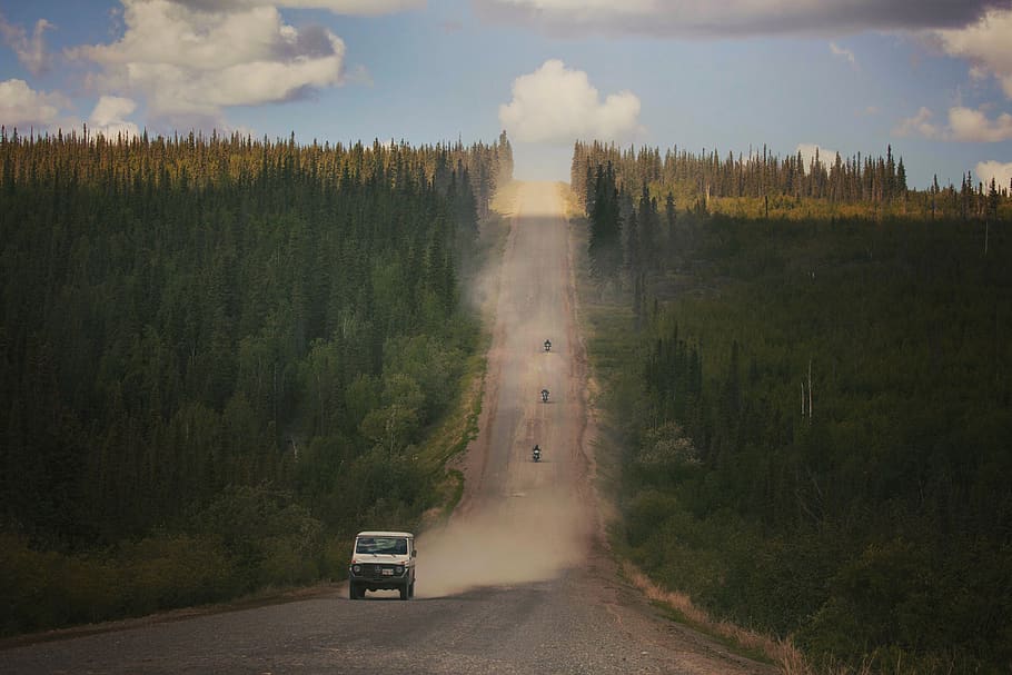 vehicle on road between trees, transportation, mode of transportation HD wallpaper