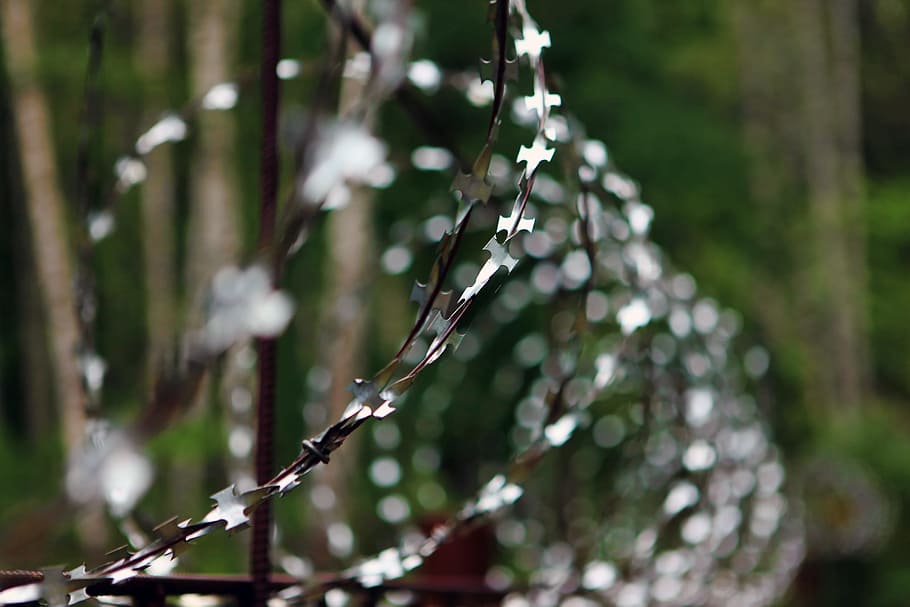 barbed, barrier, border, danger, defense, fence, prison, security HD wallpaper