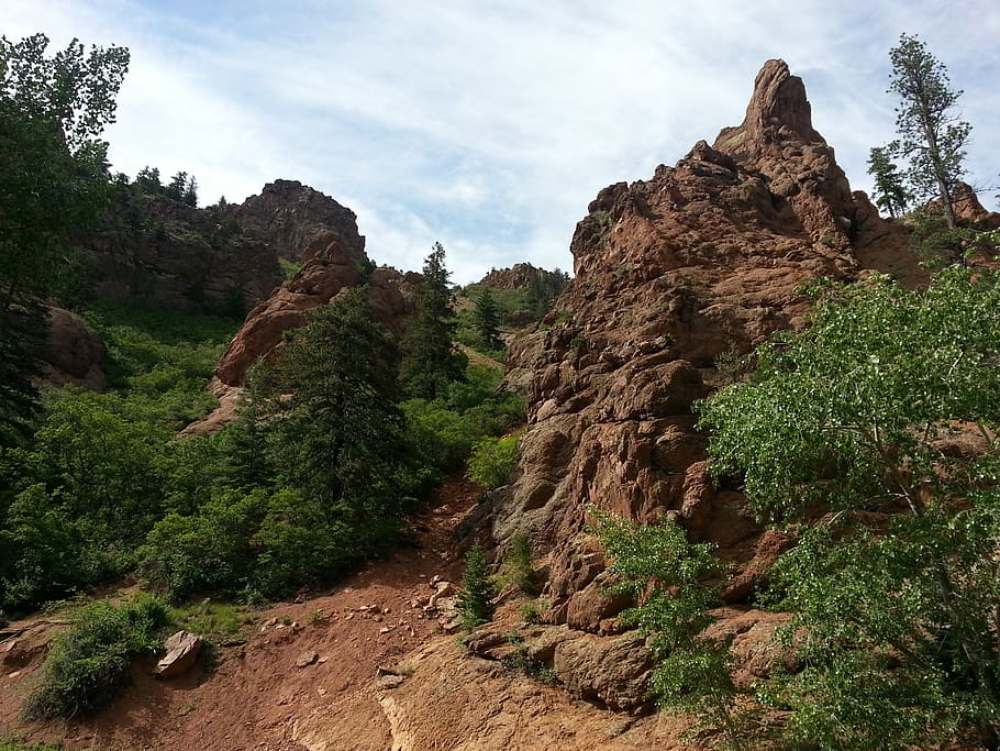 trees, mountain, forest, rocks, plant, sky, beauty in nature HD wallpaper
