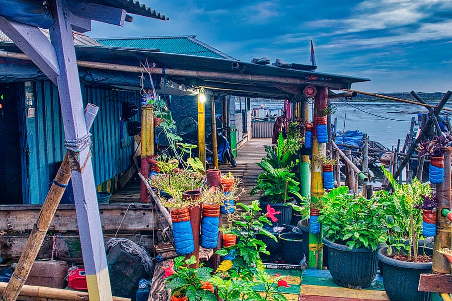 Flowers in Pots Under Roof, architecture, blue sky, clouds, colors HD wallpaper