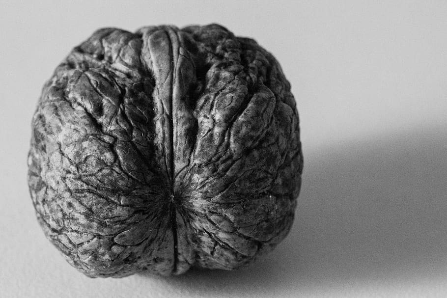 bulgaria, sofia, texture, symmetry, black, white, brain, vitamin HD wallpaper