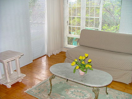 coffee table, marble coffee table, couch, lounge, flower, flower pot HD wallpaper