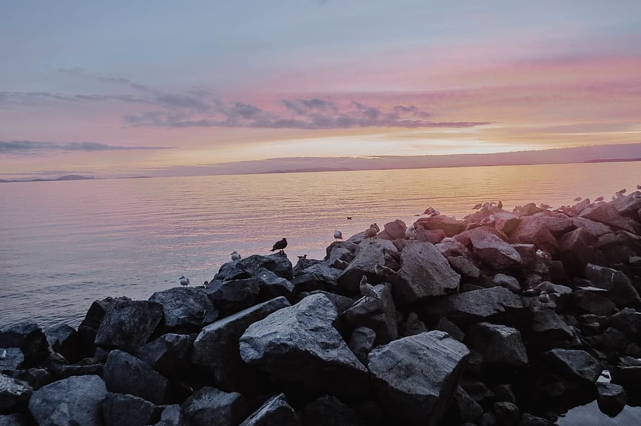 canada, white rock, sea, solid, rock - object, water, sky, sunset HD wallpaper