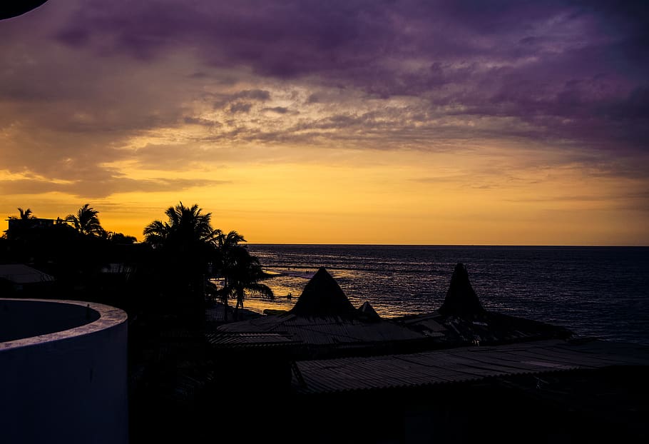 sunset, beach, live, life, trees, travel, traveler, enjoy, romantic HD wallpaper
