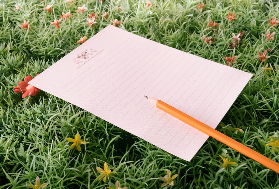 grass, green, nature, notes, paper, pencil, writing, diary HD wallpaper