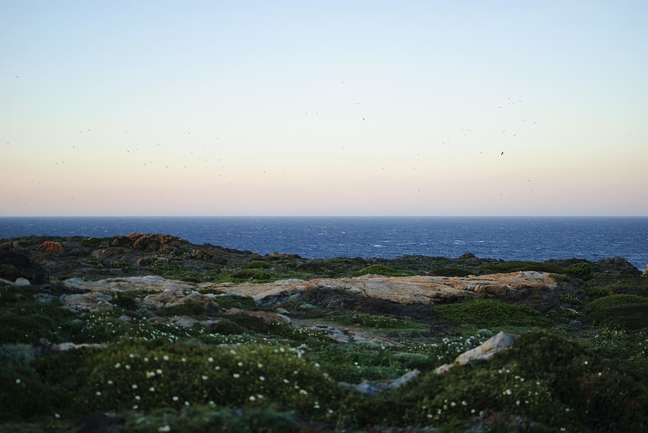 grass, sea, colors, sunset, line, view, nature, landscape, sky HD wallpaper