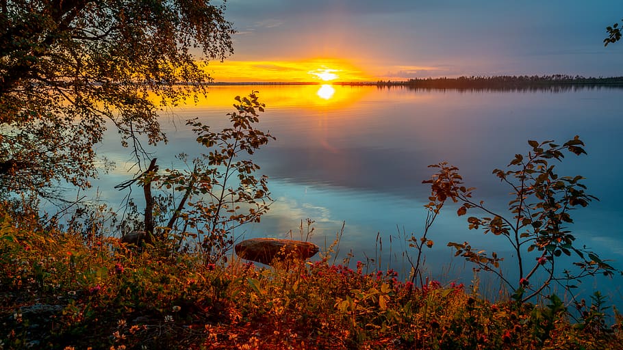sunset, evening, lake, forest, water, flowers, trees, sky, tranquility HD wallpaper