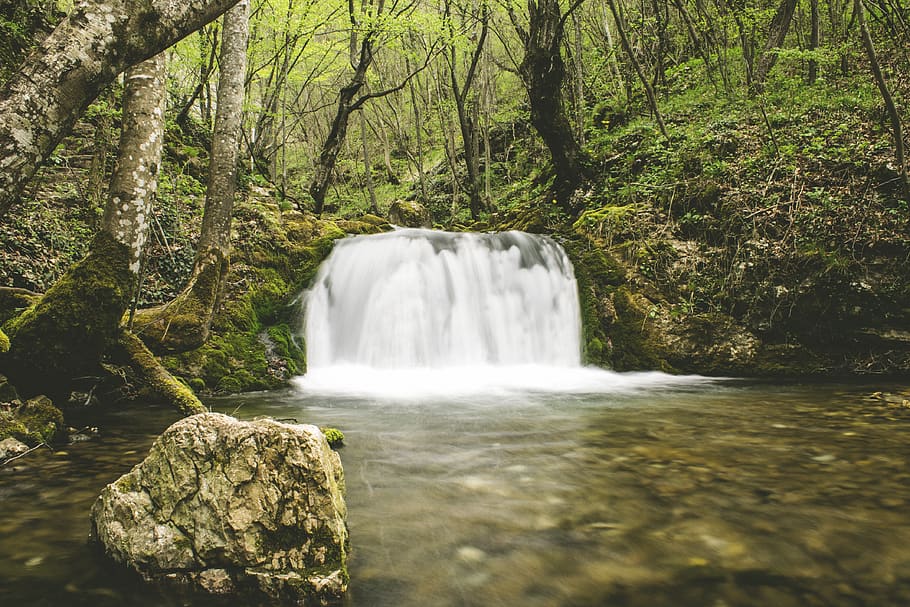 waterfall, long exposure, tree, forest, flowing water, motion HD wallpaper