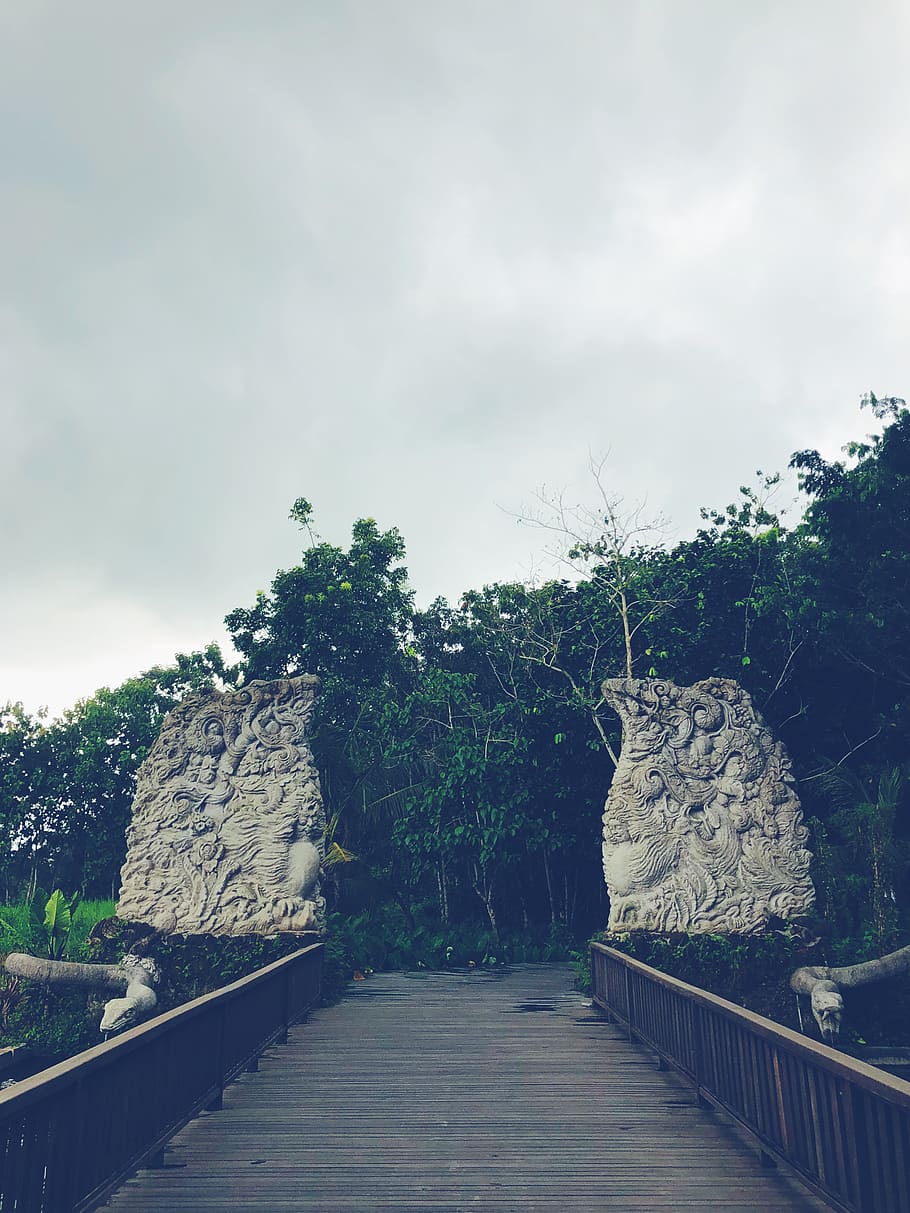 indonesia, sacred monkey forest sanctuary, tree, gate, sculpture HD wallpaper