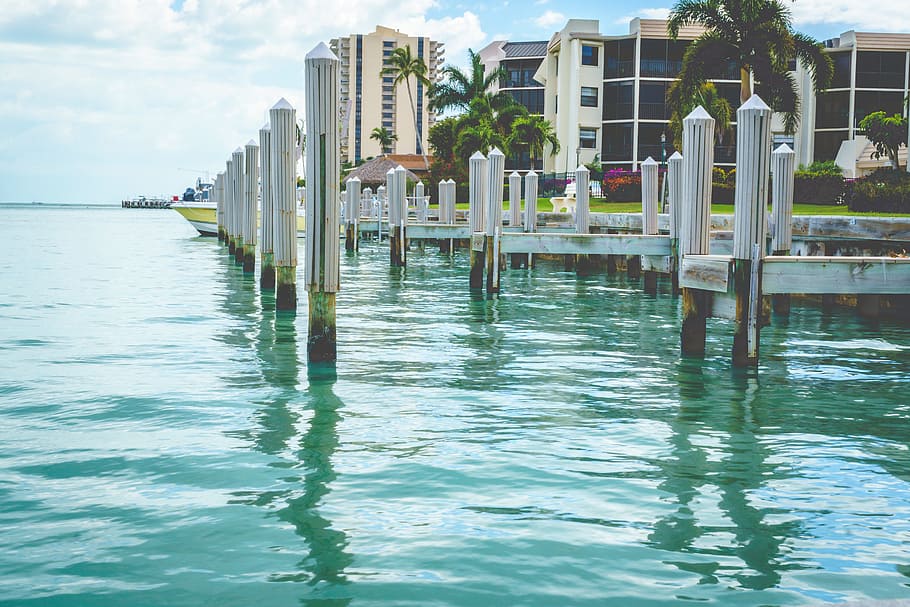 Photo of White Wooden Dock on Body of Water, architecture, buildings HD wallpaper