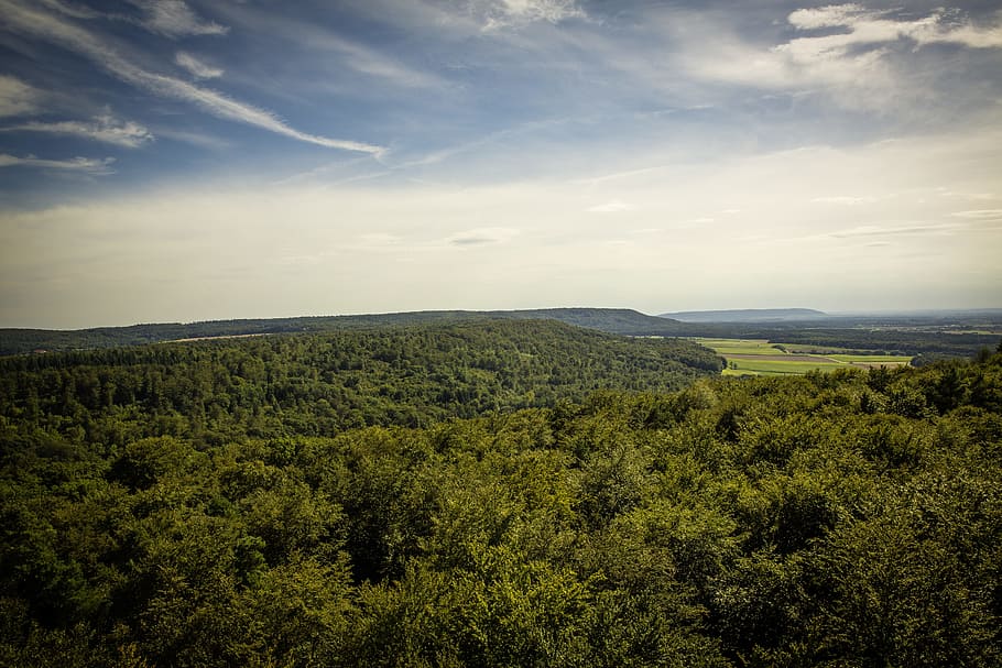 Aerial Photography of Green Trees, bird's eye view, countryside, HD wallpaper