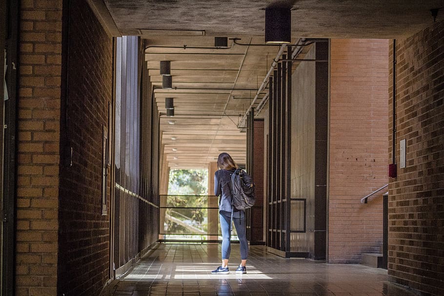 ucla, college, library, brick, america, school, antique, schoolyard HD wallpaper