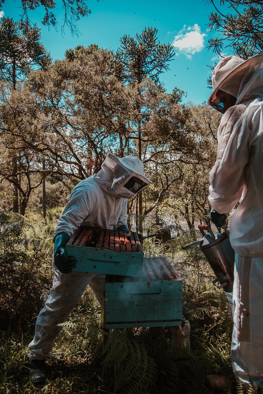 Man Holding Beehive, bee hive, beekeeping, daylight, farm, farming HD wallpaper