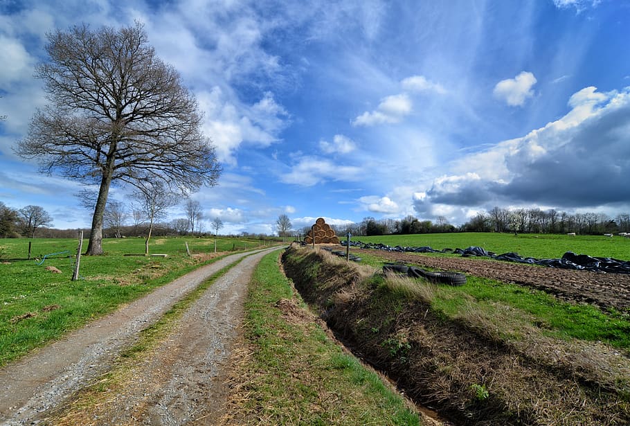 france, tree, sky, tractor track, trench, blue sky, clouds HD wallpaper