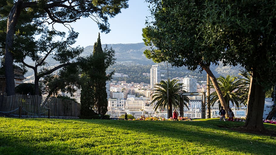 monaco, trees, plant, grass, architecture, built structure HD wallpaper