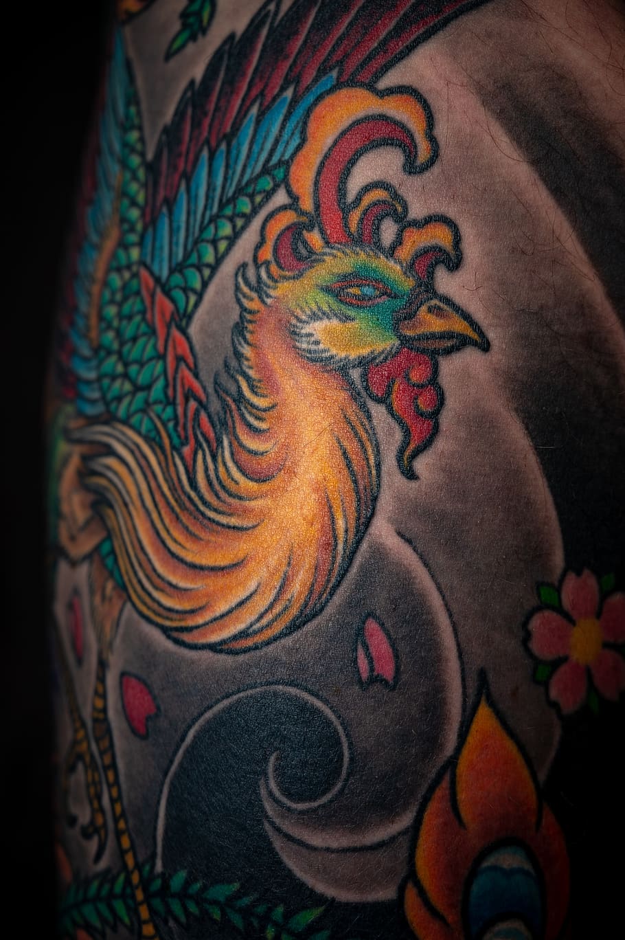 Peacock Arm Tattoo, art, artistic, close-up, color, colorful HD wallpaper