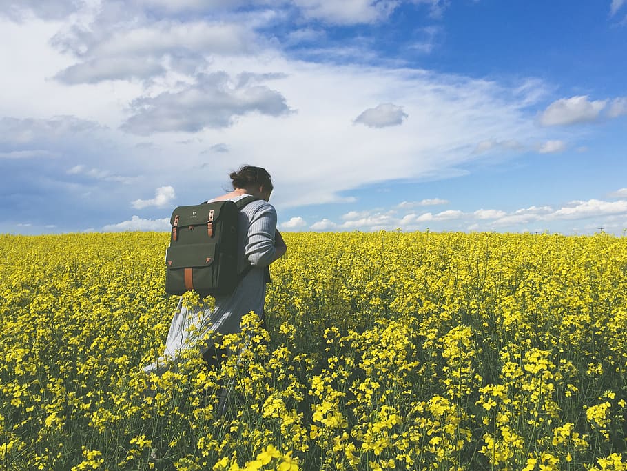 sunny, cloudy, space, open, field, albertum, wander, cute, grey HD wallpaper