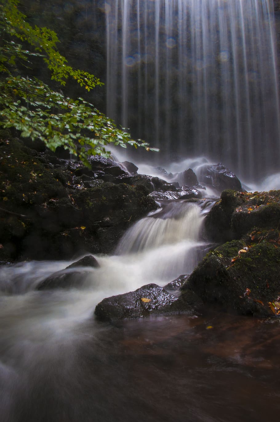 Time Lapse Photography Of River, cascade, flow, long-exposure HD wallpaper