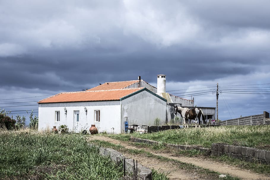 White Concrete House Surrounded by Green Grass, agriculture, architectural HD wallpaper