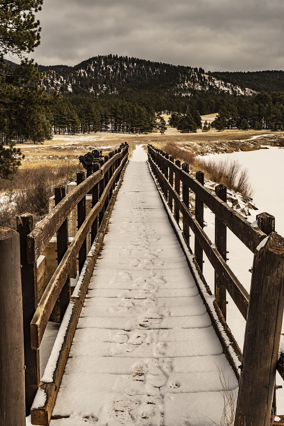 clear pathway covered with snow, sky, the way forward, wood - material HD wallpaper