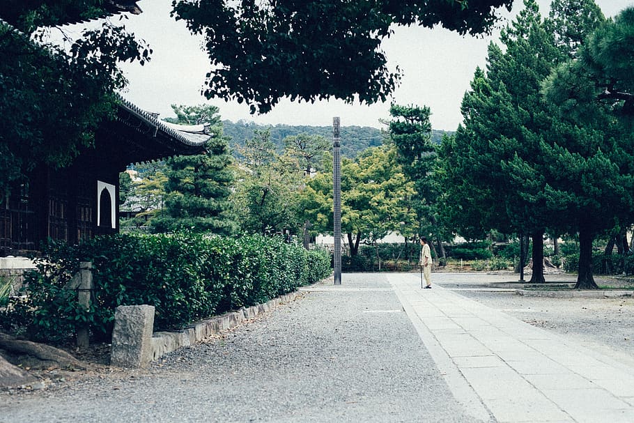 person standing on concrete walkway, kyoto, hedge, flora, fence