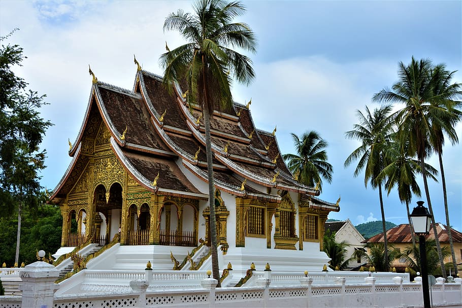 travel, architecture, laos, temple, luang prabang, palm, tourism, HD wallpaper