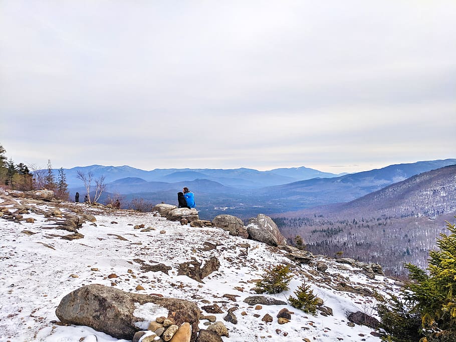 winter, mountains, dog, snow, nature, beauty in nature, sky HD wallpaper